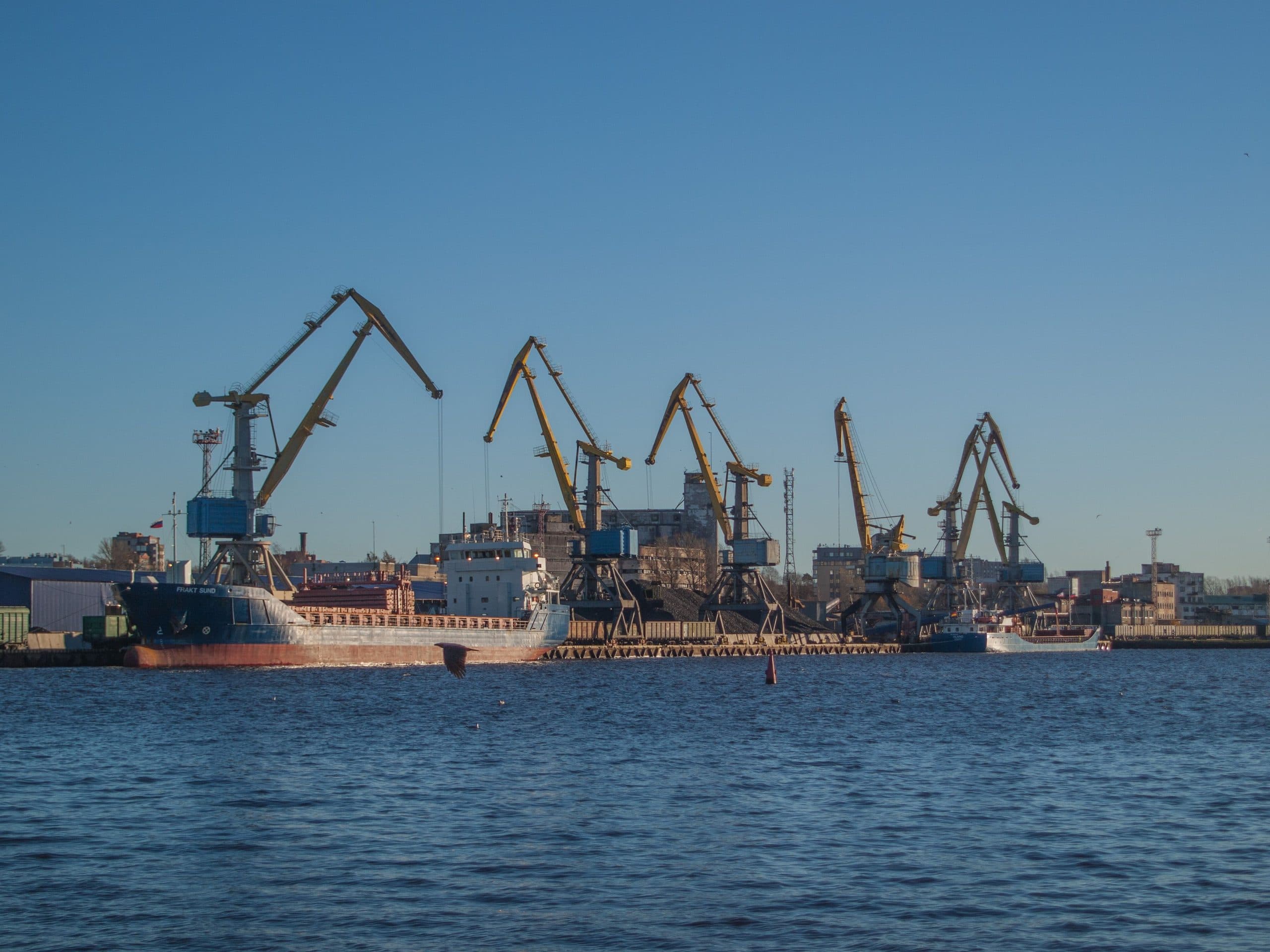 Cranes and cargo vessels along a working port waterfront under a clear sky.
